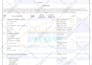 design fillable PDF and ms word form