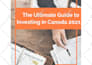 write optimized SEO articles and blog posts