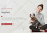 create your brand name, logo design, and identity