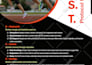 design brochures ebooks flyers, indesign, PDF form