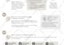 design eye catching professional infographics for business