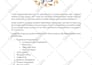 design professional and modern powerpoint presentation