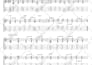 transcribe your song into accurate guitar and bass tabs