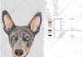 convert your pet dog cat  into embroidery digitizing  with an hour
