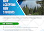 business flyer design within 12 hrs