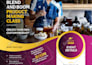 design a marketing flyer, business brochure, and catalog