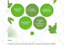 create your instagram content strategy and design