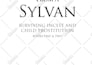 design book cover, interior and ebook