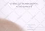 write legal agreements, contracts, documents, motions, llc operating, nda