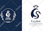 design a premium logo that builds instant trust