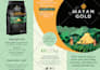 do unique corporate trifold brochure, flyer
