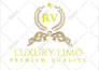 do embroidery logo digitizing design into dst file in 1 hour