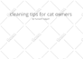 top quality veterinary blog posts, dog training, and pet articles