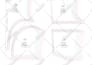 create custom clothing sewing patterns with grading and PDF