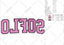 do embroidery digitizing into dst pes in 1 hour
