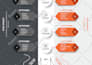 design a professional logo for business and company branding