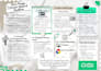 design a professional brand style guide and brand board