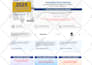 clone or redesign wordpress website with elementor pro page builder