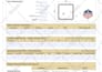 create fillable pdf forms professionally