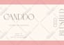 create modern and minimalist product packaging or label