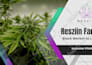 design investor pitch deck, infographic PPT presentation