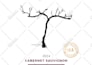 design a wine label, vodka, whisky, beer, gin bottle label