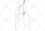 create detailed design patent drawings