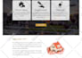do  pressure washing, christmas lighting, lawn care website in wix or wordpress