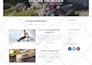 design, develop, and SEO optimise a wordpress website
