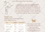 create flyer, poster, banner, social media posts, ebook, ads in canva