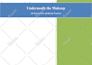prepare a complete business plan and proposal