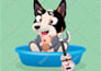 draw cute pet cartoon in  24 hours