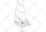 prepare design patent drawings