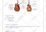 teach you to play guitar or ukulele with easy lessons