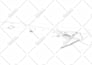 convert the point cloud into revit and bim model