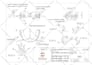 design complex 3d models