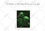 do amazon kdp book formatting, paperback and epub for ebooks