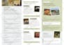 design a modern business brochure