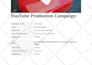 do professional video promotion in USA