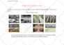 audit your website and provide expert feedback