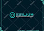 design premium company profile and crypto white paper