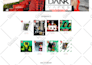build a professional ecommerce website