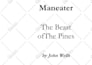 book formatting for amazon KDP paperback book formatting kindle formatting