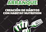diseñar tu proyecto editorial