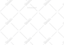 create static, wordpress speed optimize website, wordpress website maintenance
