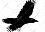 convert, vectorize low quality logo or image to vector tracing file, ai pdf svg