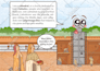 make detailed vector art and childrens book illustration