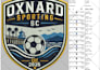 digitize logo into embroidery digitizing dst pes fast