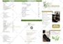 create modern bifold, trifold, multi page brochure