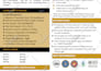do professional capability statement, government contract, and flyer design
